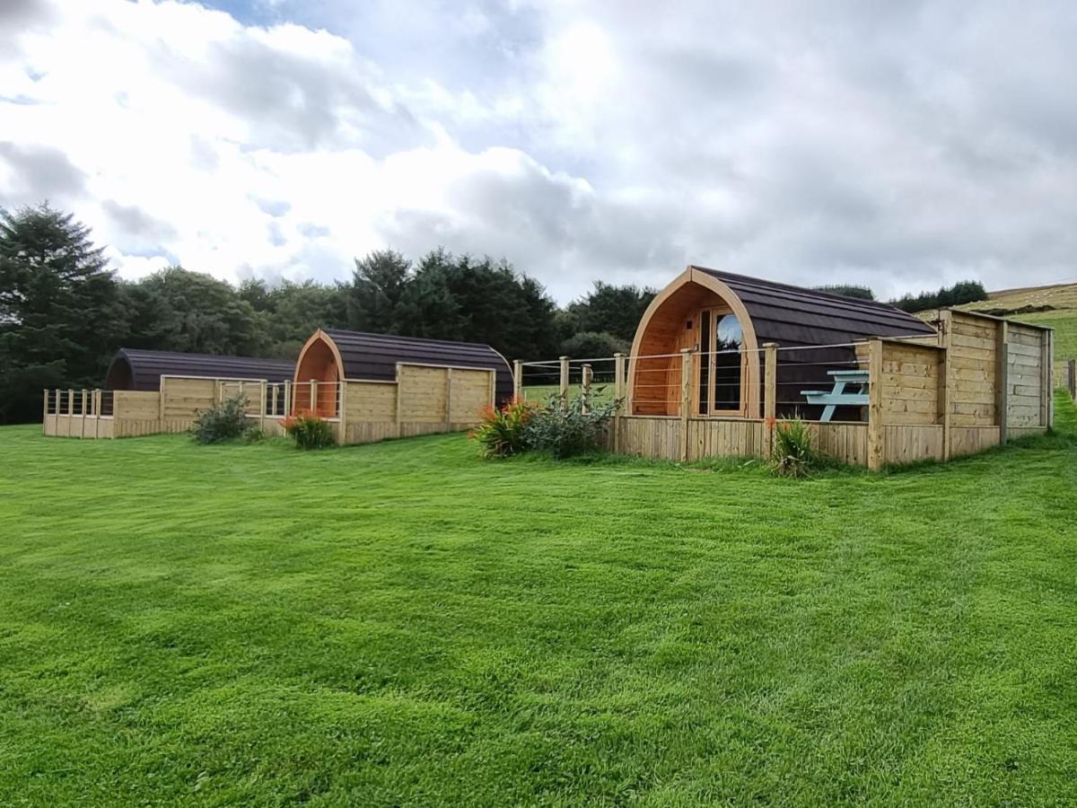 Lilly'S Lodges Orkney Robin Lodge Exterior foto